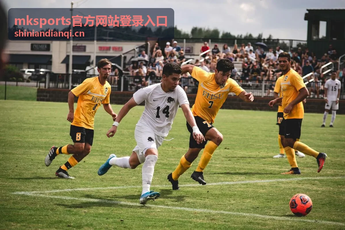 mksports官方网站登录入口赛事专区 竞彩玩家数据分析场景